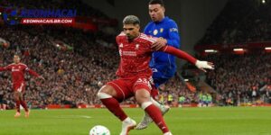 Nhận định Fenerbahce vs Liverpool